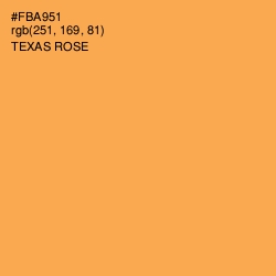 #FBA951 - Texas Rose Color Image