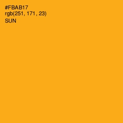 #FBAB17 - Sun Color Image