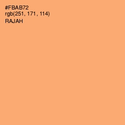 #FBAB72 - Rajah Color Image