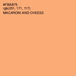 #FBAB75 - Macaroni and Cheese Color Image