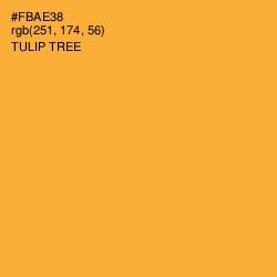 #FBAE38 - Tulip Tree Color Image