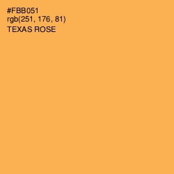 #FBB051 - Texas Rose Color Image