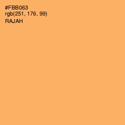 #FBB063 - Rajah Color Image