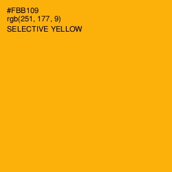 #FBB109 - Selective Yellow Color Image