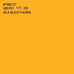 #FBB121 - Sea Buckthorn Color Image
