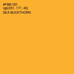 #FBB12D - Sea Buckthorn Color Image