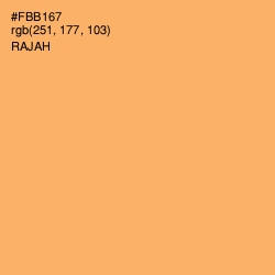 #FBB167 - Rajah Color Image