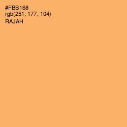 #FBB168 - Rajah Color Image