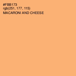 #FBB173 - Macaroni and Cheese Color Image