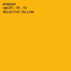 #FBB50F - Selective Yellow Color Image
