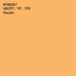 #FBB567 - Rajah Color Image