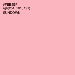 #FBB5BF - Sundown Color Image