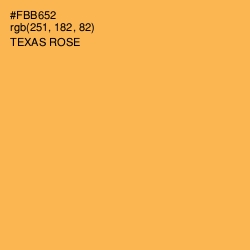 #FBB652 - Texas Rose Color Image