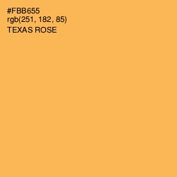 #FBB655 - Texas Rose Color Image