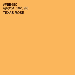 #FBB65C - Texas Rose Color Image