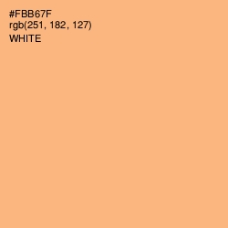 #FBB67F - Macaroni and Cheese Color Image