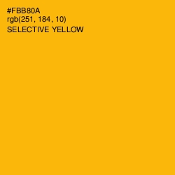 #FBB80A - Selective Yellow Color Image