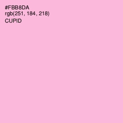 #FBB8DA - Cupid Color Image