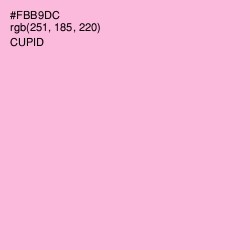 #FBB9DC - Cupid Color Image