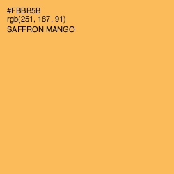 #FBBB5B - Saffron Mango Color Image