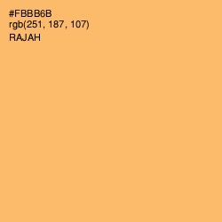 #FBBB6B - Rajah Color Image
