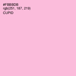 #FBBBDB - Cupid Color Image