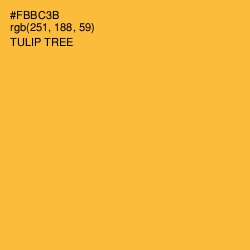 #FBBC3B - Tulip Tree Color Image