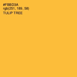 #FBBD3A - Tulip Tree Color Image