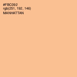 #FBC092 - Manhattan Color Image