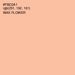 #FBC0A1 - Wax Flower Color Image