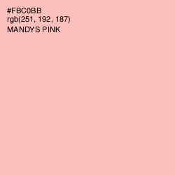 #FBC0BB - Mandys Pink Color Image