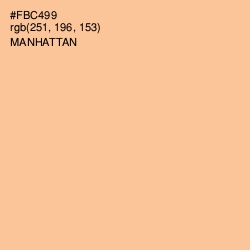 #FBC499 - Manhattan Color Image
