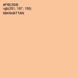 #FBC59B - Manhattan Color Image