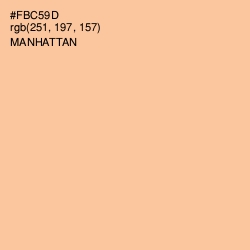 #FBC59D - Manhattan Color Image