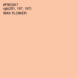 #FBC5A7 - Wax Flower Color Image