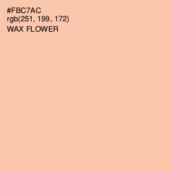#FBC7AC - Wax Flower Color Image