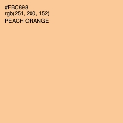 #FBC898 - Peach Orange Color Image
