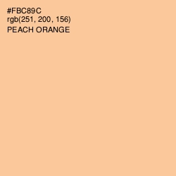 #FBC89C - Peach Orange Color Image