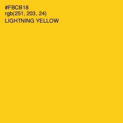 #FBCB18 - Lightning Yellow Color Image