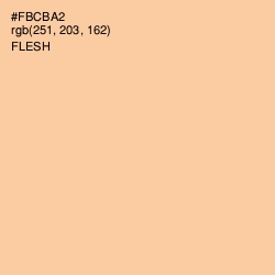 #FBCBA2 - Flesh Color Image
