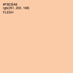 #FBCBA8 - Flesh Color Image