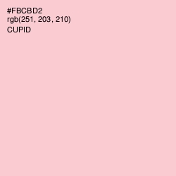 #FBCBD2 - Azalea Color Image