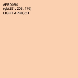 #FBD0B0 - Light Apricot Color Image