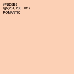 #FBD0B5 - Romantic Color Image