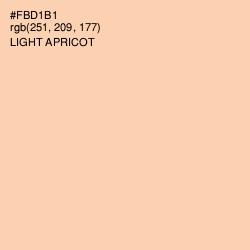 #FBD1B1 - Light Apricot Color Image