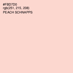 #FBD7D0 - Peach Schnapps Color Image