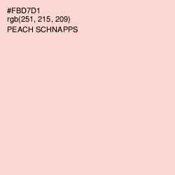 #FBD7D1 - Peach Schnapps Color Image