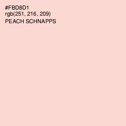 #FBD8D1 - Peach Schnapps Color Image