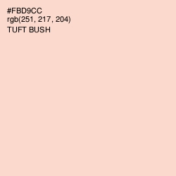 #FBD9CC - Tuft Bush Color Image