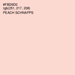 #FBD9D0 - Peach Schnapps Color Image